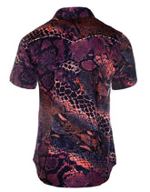 S/S Tube Snake Boogie